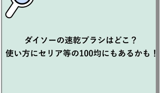 ダイソーの速乾ブラシはどこ？使い方にセリア等の100均にもあるかも！