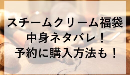 スチームクリーム福袋2026の中身ネタバレ！予約に購入方法も！